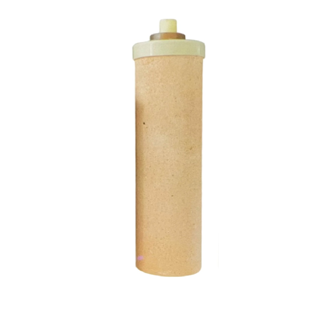[BU1601] BUJIA FILTRO 10" PICO CORTO CON CARBON